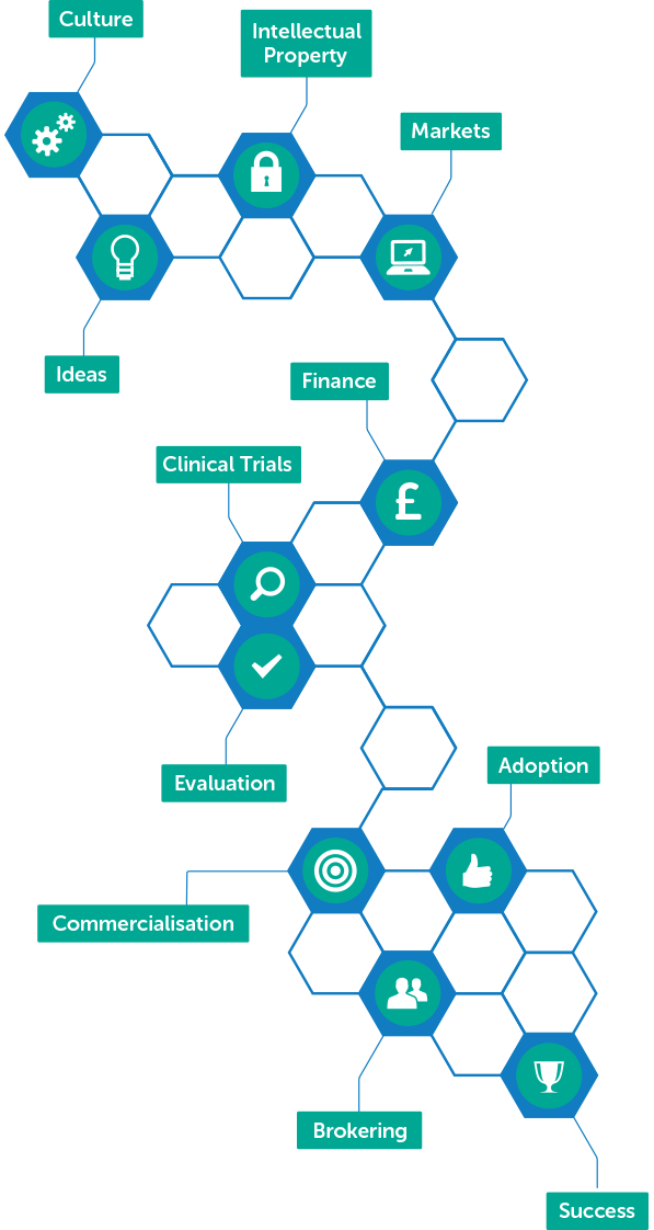 innovation pathway graphic